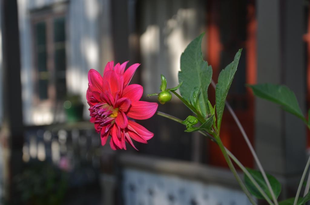 Naestegarden Bed & Breakfast Satuna ภายนอก รูปภาพ