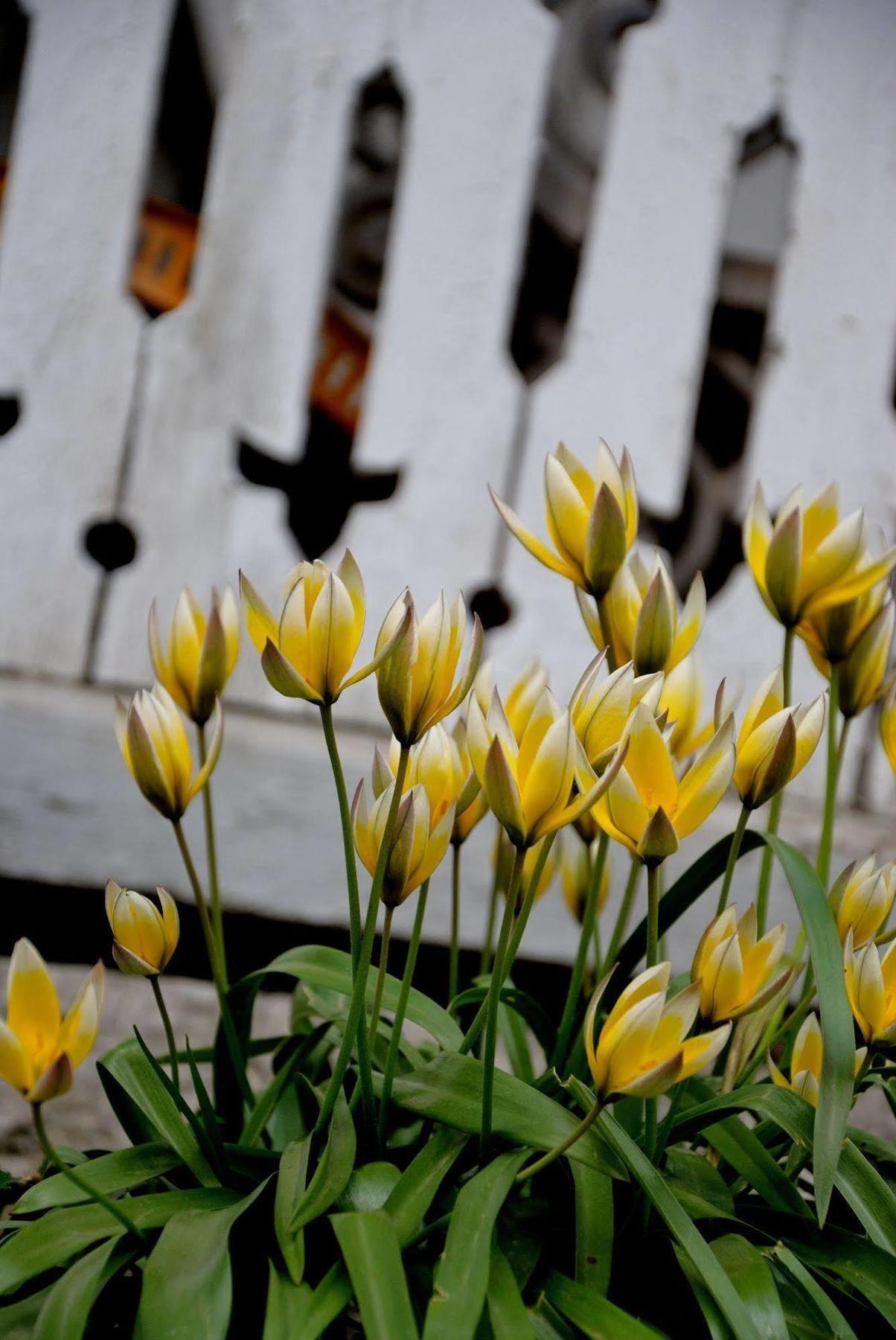 Naestegarden Bed & Breakfast Satuna ภายนอก รูปภาพ